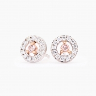 Rita white and Argyle champagne diamond stud earrings