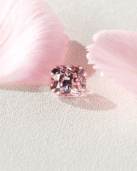 Pink circle of life pendant, Natural pink diamonds